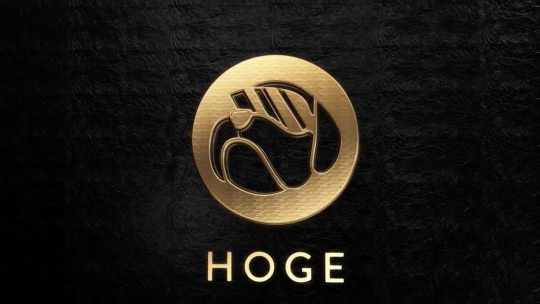  Hoge Finanece, Hogecoin là tiền điện tử được tung ra thị trường