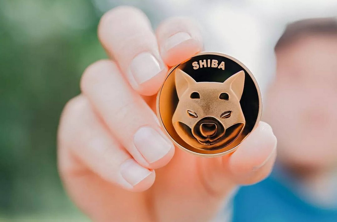 Sự tăng giá của Shiba Coin chỉ trong khoản thời gian ngắn