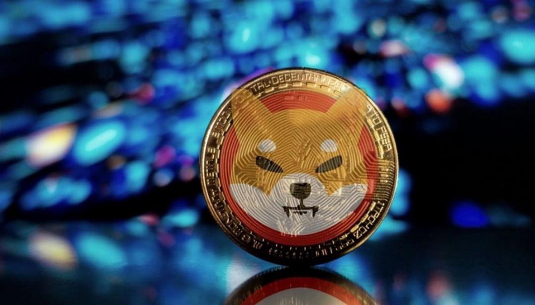 Thông tin về đồng Shiba Coin