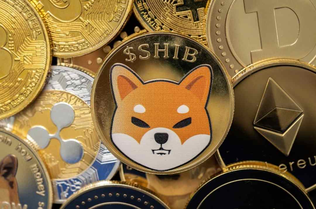 So sánh tiềm năng của Shiba coin và Dogecoin