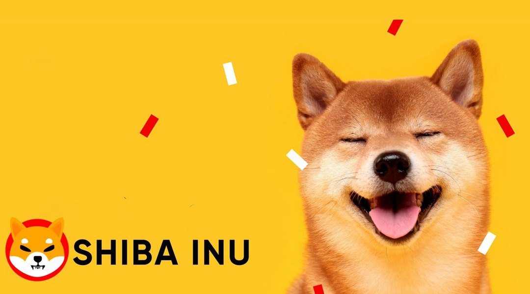 Tiềm năng của Shiba coin như thế nào?