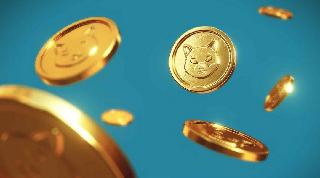 Shiba coin lừa đảo người đầu tư không?