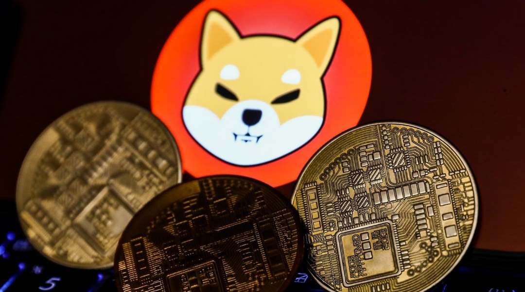 Shiba Inu là token, không phải coin