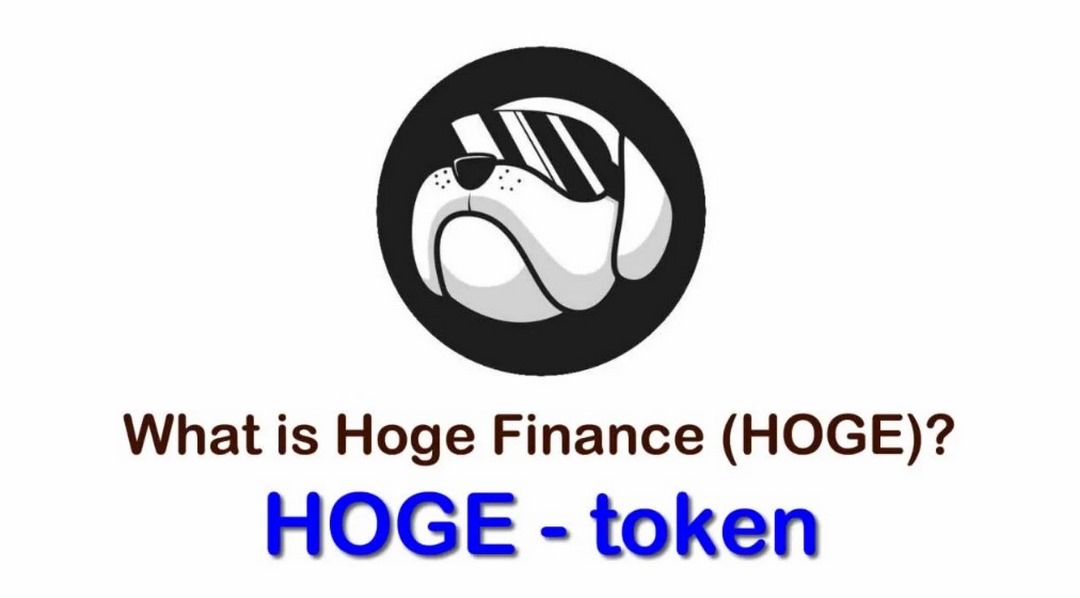 Tiềm năng Hoge coin đến từ đâu?