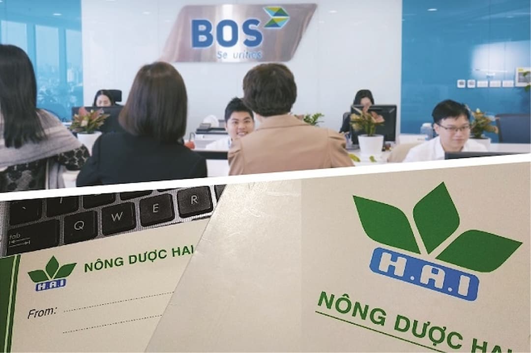 Có nên đầu tư cổ phiếu HAI không