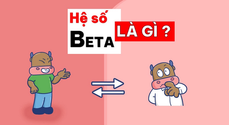 Hệ số beta là gì?